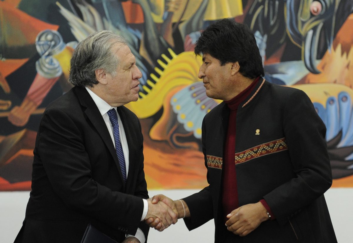 Noticia: Evo Morales convoca a nuevas elecciones tras auditoría de la OEA Evo Morales convoca a nuevas elecciones tras auditoría de la OEA