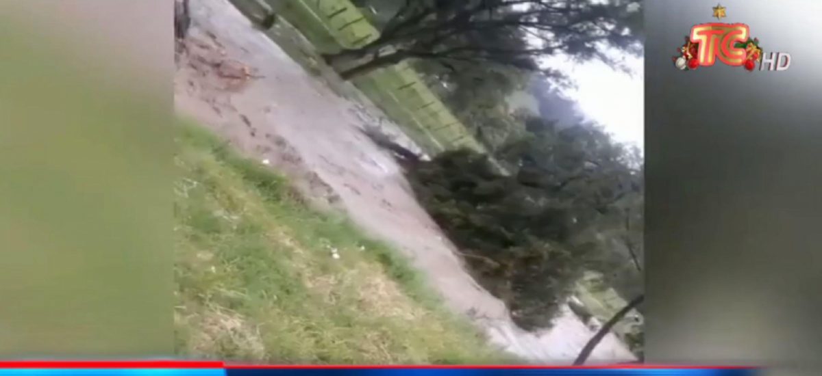 Noticia: VIDEO | Provincia de Loja afectada por inundaciones VIDEO | Provincia de Loja afectada por inundaciones