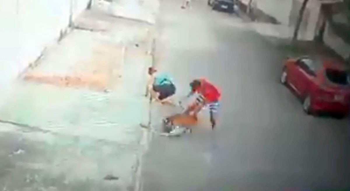 Noticia: VIDEO | Un joven salva a un niño de 5 años del ataque de un pitbull VIDEO | Un joven salva a un niño de 5 años del ataque de un pitbull