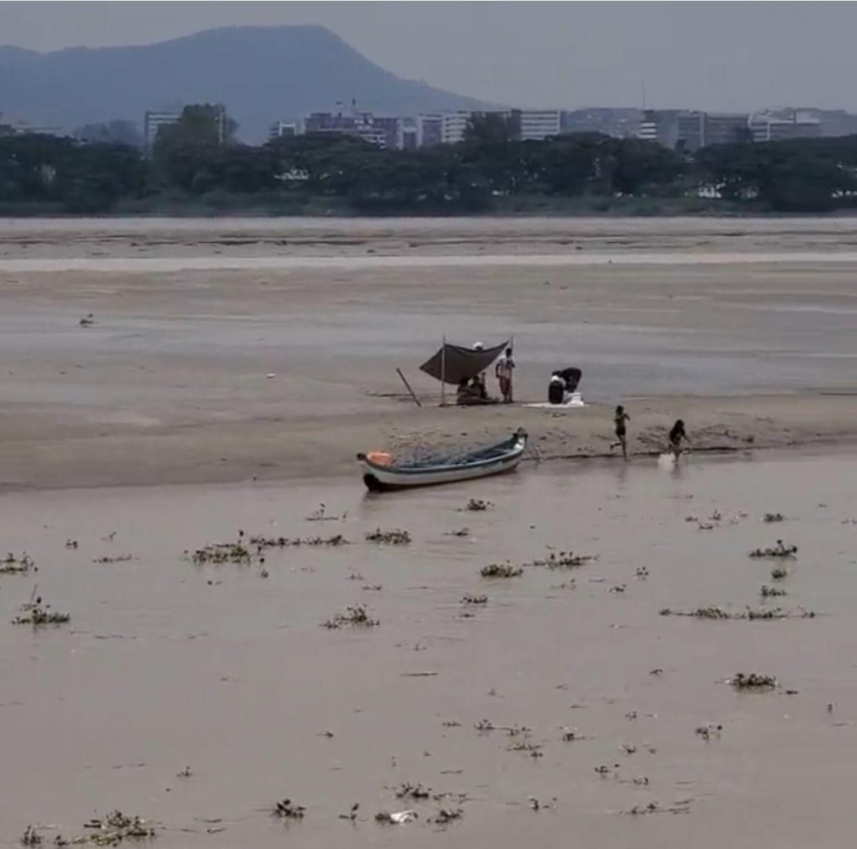 Noticia: Reportan la presencia de ciudadanos en el islote El Palmar, Río Guayas Reportan la presencia de ciudadanos en el islote El Palmar, Río Guayas