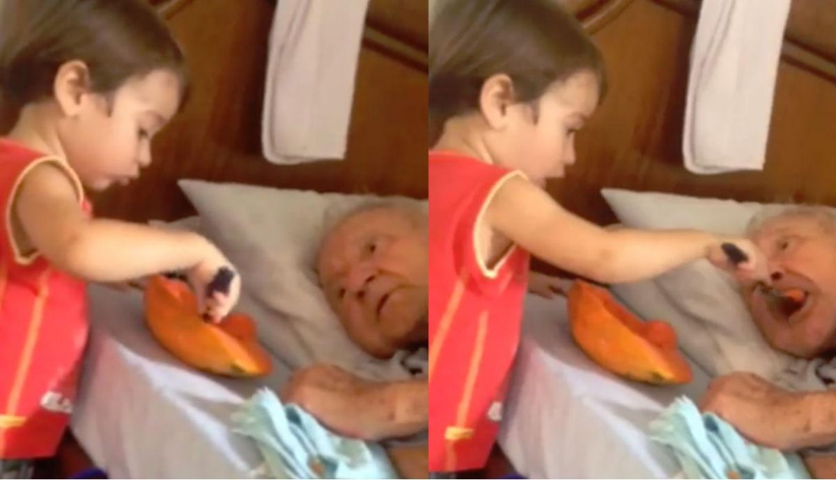 Noticia: VIDEO: tiene dos años y alimenta a su abuelo enfermo en cama VIDEO: tiene dos años y alimenta a su abuelo enfermo en cama