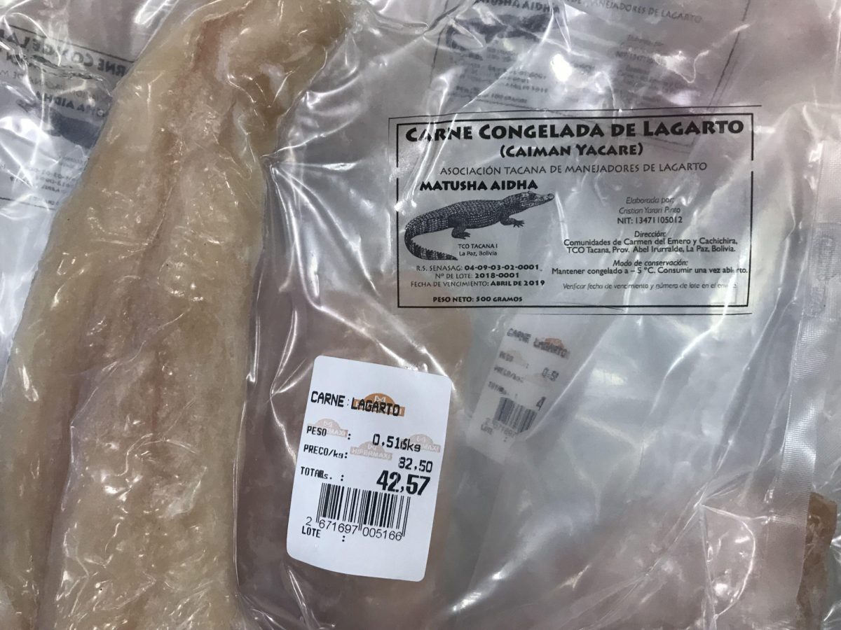 Noticia: Carne de lagarto, el manjar amazónico que llegó a supermercados Carne de lagarto, el manjar amazónico que llegó a supermercados