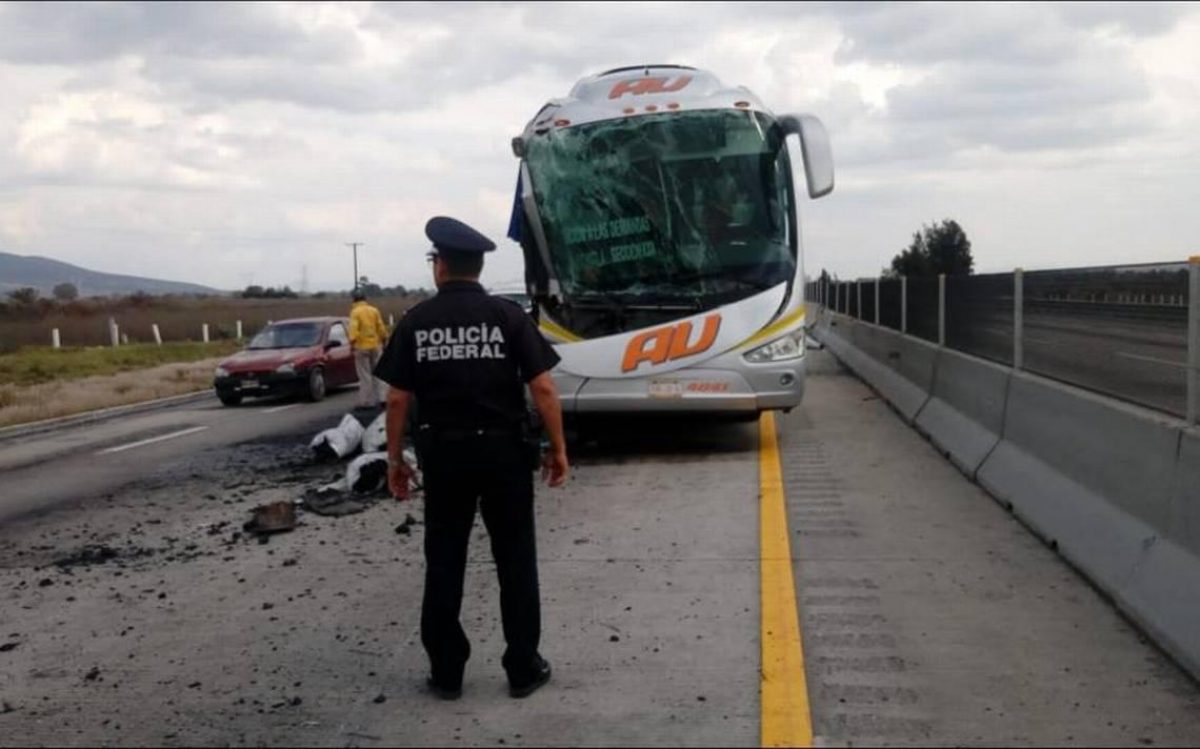 Noticia: Al menos 10 muertos y 51 heridos en un accidente de autobús en Brasil Al menos 10 muertos y 51 heridos en un accidente de autobús en Brasil
