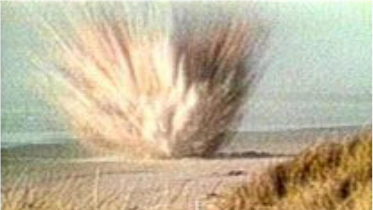 Noticia: ¿Cómo la explosión de una ballena en una playa puede enseñar a combatir el coronavirus? ¿Cómo la explosión de una ballena en una playa puede enseñar a combatir el coronavirus?