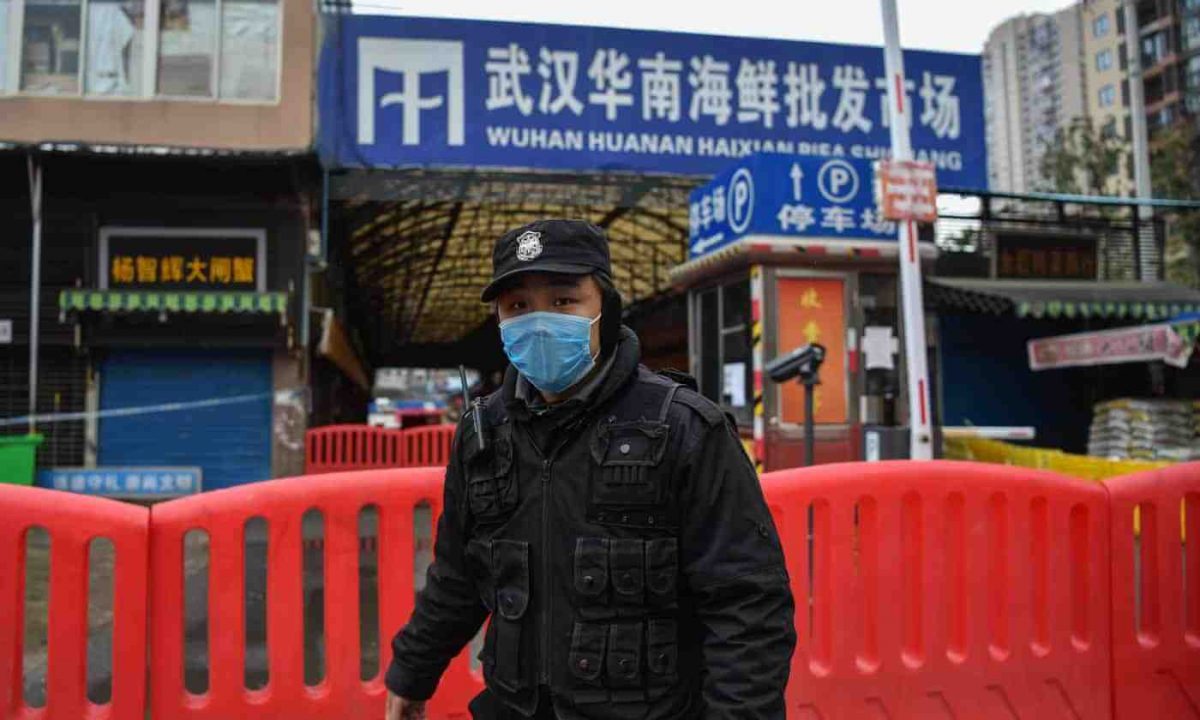 Noticia: Cinco meses después del comienzo de la pandemia de coronavirus, Wuhan prohibió el consumo de animales salvajes Cinco meses después del comienzo de la pandemia de coronavirus, Wuhan prohibió el consumo de animales salvajes
