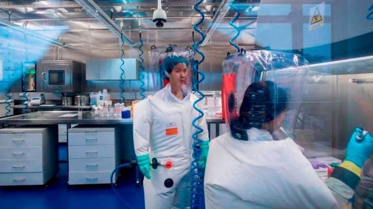 Noticia: “Solo la punta del iceberg”: Así dijo la subdirectora del Instituto de Virología de Wuhan “Solo la punta del iceberg”: Así dijo la subdirectora del Instituto de Virología de Wuhan