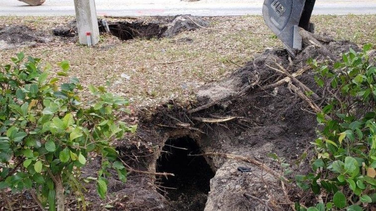 Noticia: VIDEO | No era un hueco sino un túnel para robar un banco VIDEO | No era un hueco sino un túnel para robar un banco