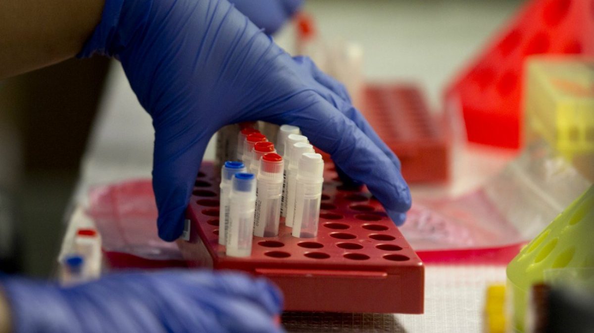 Noticia: Científicos prueban con éxito vacuna contra el virus del Zika Científicos prueban con éxito vacuna contra el virus del Zika
