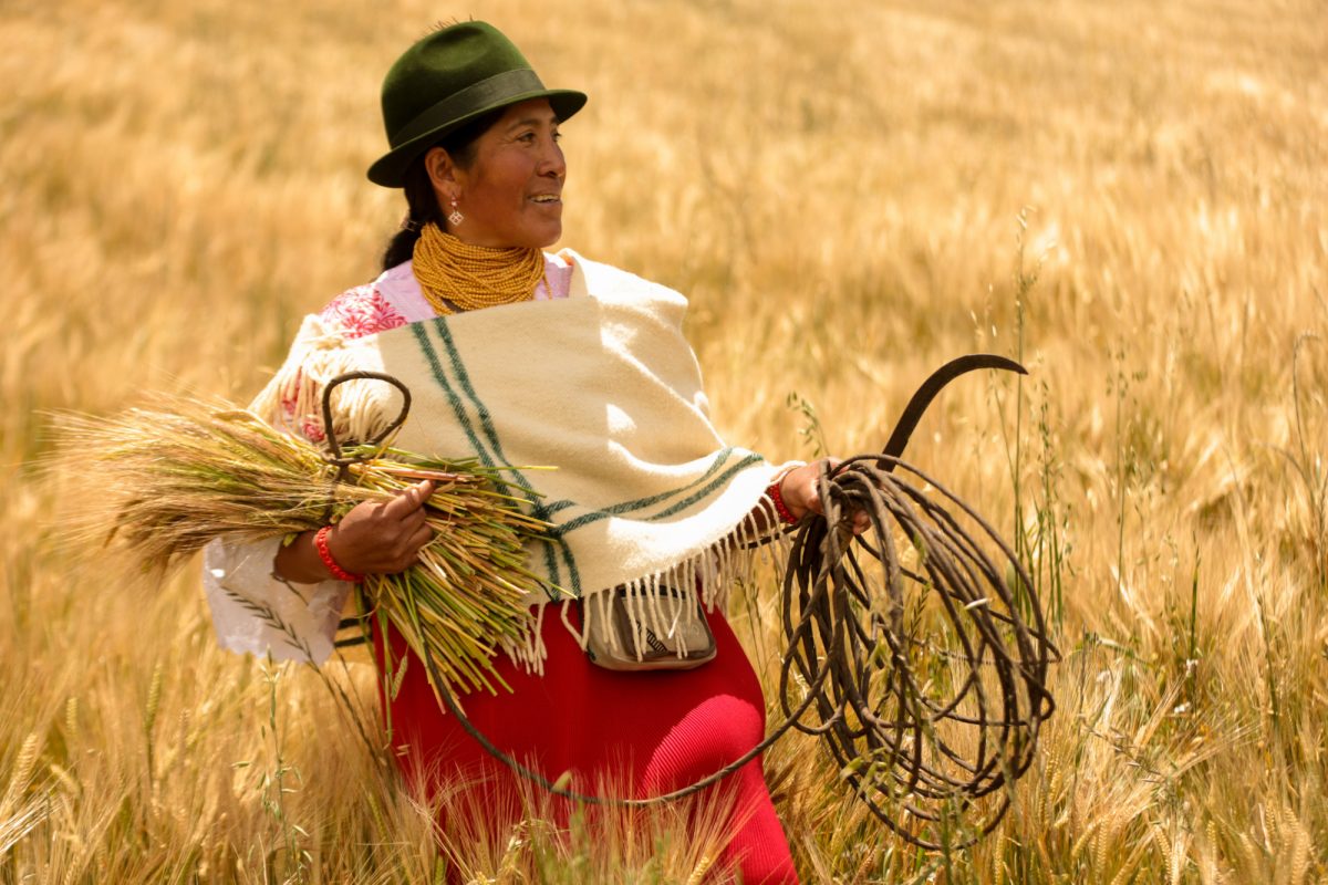 Desde el 2009, Cervecería Nacional apoya el crecimiento del agro ecuatoriano a través de programas de desarrollo y agricultura sostenible.