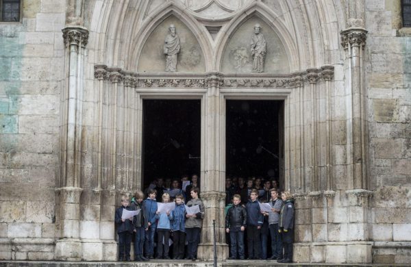 Imagen: El coro de la catedral de Ratisbona durante un ensayo en 2014 Imagen: El coro de la catedral de Ratisbona durante un ensayo en 2014