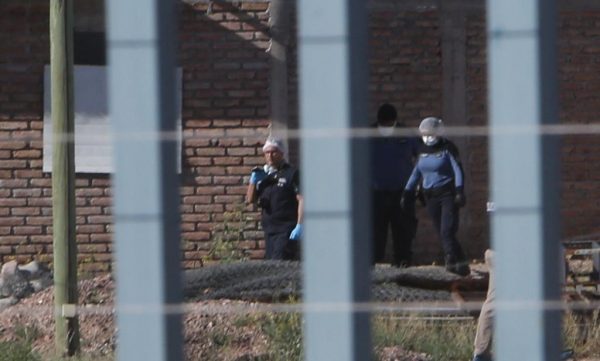 Imagen: Relacionada a la noticia Imagen: Relacionada a la noticia