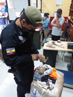 Imagen: Relacionada a la noticia Imagen: Relacionada a la noticia