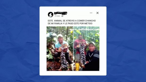 Imagen: Los cazadores publicaron el hecho en la red social de Facebook. Imagen: Los cazadores publicaron el hecho en la red social de Facebook.