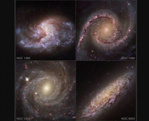 Imagen: Muestra de galaxias con agujeros negros activos devorando sus estrellas NASA/CXC/WASHINGTON STATE/NASA/ESA/STSCI 21/4/2022. Imagen: Muestra de galaxias con agujeros negros activos devorando sus estrellas NASA/CXC/WASHINGTON STATE/NASA/ESA/STSCI 21/4/2022.