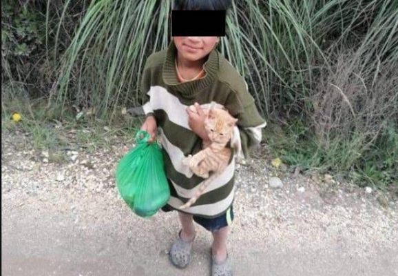 Imagen: Un niño intentaba vender su gato en tres dólares para poder ir a la escuela. Foto: Redes Sociales. Imagen: Un niño intentaba vender su gato en tres dólares para poder ir a la escuela. Foto: Redes Sociales.