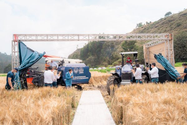 Imagen: Relacionada a la noticia Imagen: Relacionada a la noticia