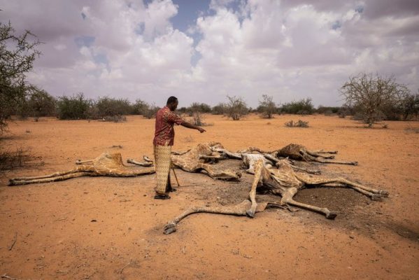 Imagen: Foto: Ed Ram/Getty Images. Imagen: Foto: Ed Ram/Getty Images.