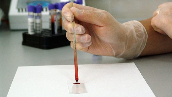 Imagen: Relacionada a la noticia Imagen: Relacionada a la noticia
