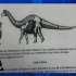 VIDEO | Conozca sobre los restos del primer dinosaurio en Ecuador