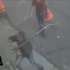 VIDEO | Los detuvieron cuando estaban robando un local de bicicletas en Quito
