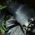 Decomisan paquetes de marihuana en Esmeraldas a pocos días de la caída del avión con droga