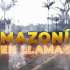 VIDEO | Amazonía en llamas : Brasil bajo presión internacional