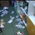 VIDEO | Delincuentes se llevaron 30 mil dólares de una farmacia al sur de Quito