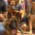 VIDEO | El Malecón 2000 abrió sus puertas a las mascotas
