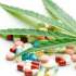 VIDEO | Beneficios del uso de cannabis medicinal
