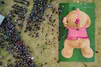 Noticia: FOTOS | Así luce Xonita, el oso más grande del mundo FOTOS | Así luce Xonita, el oso más grande del mundo