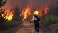 Noticia: Incendio forestal al sur de Argentina quema 400 hectáreas Incendio forestal al sur de Argentina quema 400 hectáreas
