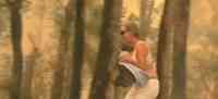 Noticia: VIDEO | Una mujer arriesga su vida para rescatar a un koala de un incendio forestal VIDEO | Una mujer arriesga su vida para rescatar a un koala de un incendio forestal