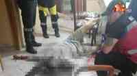 Noticia: VIDEO | Madre e hijo fueron asesinados mientras comían , ocurrió en Portoviejo VIDEO | Madre e hijo fueron asesinados mientras comían , ocurrió en Portoviejo