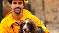 Noticia: Taylor, la perra que ayuda a rescatar koalas en los incendios de Australia Taylor, la perra que ayuda a rescatar koalas en los incendios de Australia