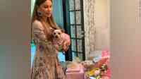 Noticia: Así es la lujosa fiesta de cumpleaños que dio Sofía Vergara a su perrita chihuahua Así es la lujosa fiesta de cumpleaños que dio Sofía Vergara a su perrita chihuahua