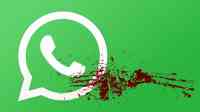 Noticia: No podrás reenviar mensaje de WhatsApp más de cinco veces No podrás reenviar mensaje de WhatsApp más de cinco veces