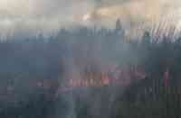 Noticia: Incendio provocado en Riobamba deja pérdidas en especies Incendio provocado en Riobamba deja pérdidas en especies