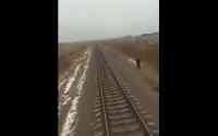 Noticia: VIDEO: adolescente es arrollado por tren por llevar audífonos a todo volumen VIDEO: adolescente es arrollado por tren por llevar audífonos a todo volumen