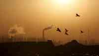 Noticia: FOTOS | "Una caída dramática" de contaminación en China en medio de la cuarentena FOTOS | "Una caída dramática" de contaminación en China en medio de la cuarentena