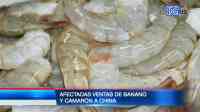Noticia: VIDEO | Exportaciones nacionales a la baja por el Covid-19 VIDEO | Exportaciones nacionales a la baja por el Covid-19