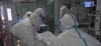 Noticia: VIDEO: 389 fallecidos por coronavirus en Estados Unidos VIDEO: 389 fallecidos por coronavirus en Estados Unidos