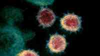 Noticia: Científicos argentinos logran secuenciar el genoma completo del nuevo coronavirus SARS-COV-2 Científicos argentinos logran secuenciar el genoma completo del nuevo coronavirus SARS-COV-2