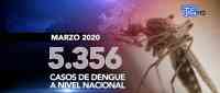 Noticia: VIDEO: Más de 5.000 casos de dengue en el país VIDEO: Más de 5.000 casos de dengue en el país