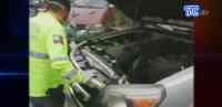Noticia: VIDEO: Se investiga procedencia de carros que ingresaron ilegalmente al país VIDEO: Se investiga procedencia de carros que ingresaron ilegalmente al país
