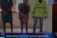 Noticia: VIDEO: Decomisan droga que estaba camuflada en caja de camarones en Esmeraldas VIDEO: Decomisan droga que estaba camuflada en caja de camarones en Esmeraldas