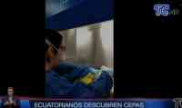 Noticia: VIDEO: Ecuador hace un importante avance científico en la lucha contra el coronavirus VIDEO: Ecuador hace un importante avance científico en la lucha contra el coronavirus