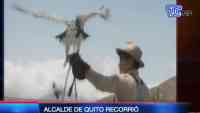 Noticia: VIDEO: Alcalde de Quito, Jorge Yunda recorrió zoológico de la ciudad VIDEO: Alcalde de Quito, Jorge Yunda recorrió zoológico de la ciudad