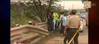 Noticia: Hombre se suicidó colgándose de un árbol en Guayaquil Hombre se suicidó colgándose de un árbol en Guayaquil