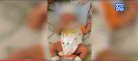 Noticia: VIDEO: Recién nacida fue abandonada en hospital de Manta VIDEO: Recién nacida fue abandonada en hospital de Manta