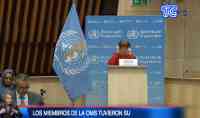 Noticia: VIDEO: Miembros de la OMS piden que futura vacuna contra covid 19 sea un bien público VIDEO: Miembros de la OMS piden que futura vacuna contra covid 19 sea un bien público